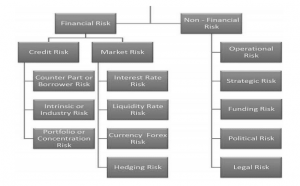 Types of Risks