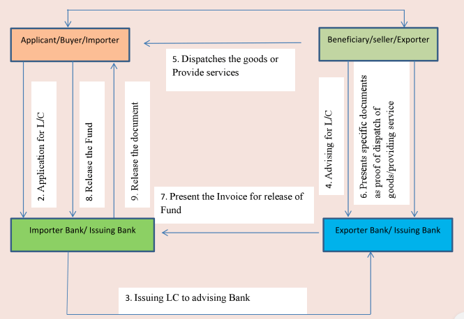 How the Letter of credit work