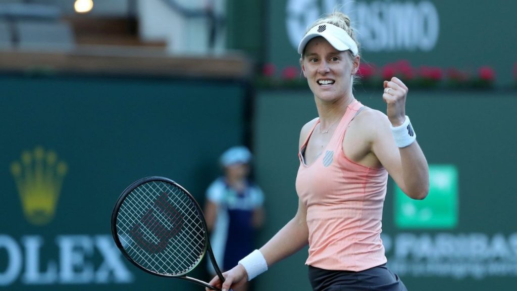 Alison Riske-Amritraj income